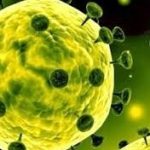 سازمان جهانی بهداشت به ۱۳ سوال کرونایی پاسخ داد