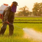 توزیع محصولات برگشت‌خورده از روسیه، بین محرومان ! + فیلم