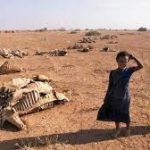 بحران آب منطقه غرب آسیا و شمال آفریقا جدی است!