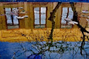 عکس از احمد نامدار