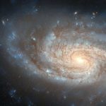 مشاهده مارپیچی دردل شیرکوچک