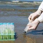 تولید برق مداوم از آب شور دریا