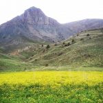 پارک ملی ساریگل