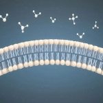 راهکار جدید محققان برای نجات جان انسان‌ها