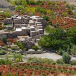 روستای افین