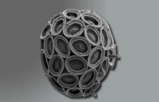 موجوداتی سرنوشت سازولی ریزتر از غبار