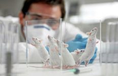 هوش مصنوعی، ناجی حیوانات شد