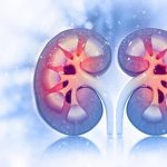 سلامت مغز با عملکرد کلیه‌ها مرتبط است