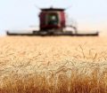 ۸۵ درصد امنیت غذایی کشور متکی بر داخل است