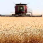 ۸۵ درصد امنیت غذایی کشور متکی بر داخل است